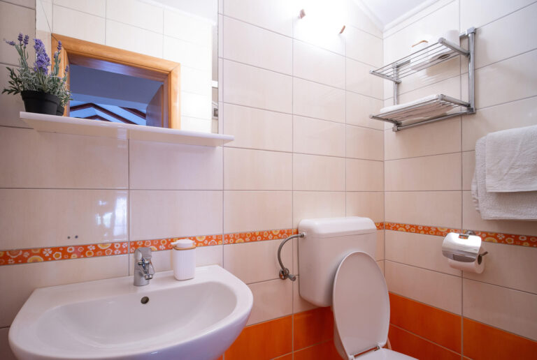 SeaSoul Art Apartments Zaton Mali Dubrovnik Garden House Bathroom